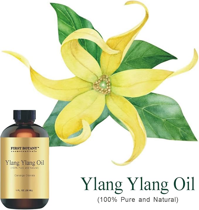 First Botany, 100% Pure Ylang Ylang Oil - Premium Ylang-Ylang Essential Oil for Aromatherapy, Massage, Topical & Household Uses - 1 fl oz (Ylang Ylang)