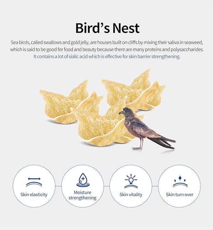 SNP [K Beauty Bird's Nest Ampoule Sheet Mask | Hyaluronic Acid Sheet Mask | Maximum Hydration and Protection for All Dry Skin Types | Korean Skincare Facial Mask | 10 Sheets