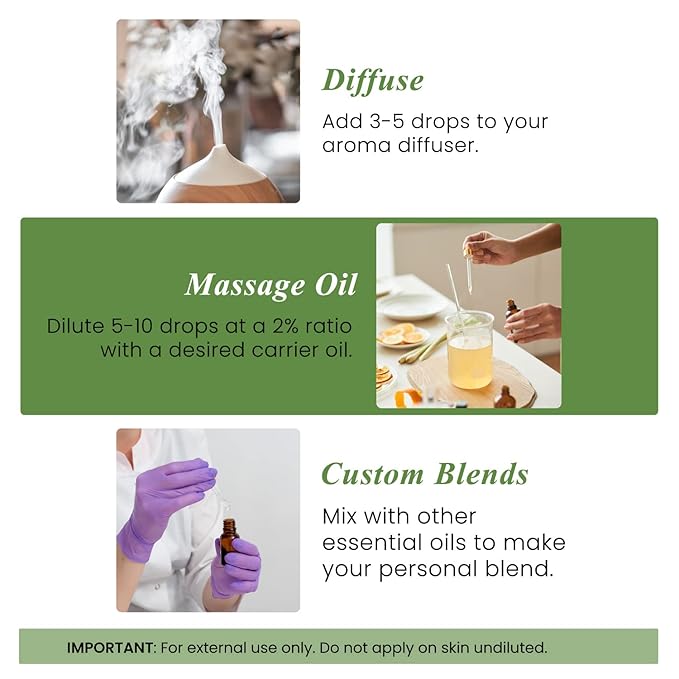 Handcraft Blends Rosemary Essential Oil - Huge 4 Fl Oz - 100% Pure and Natural - Premium Grade Essential Oil for Diffuser and Aromatherapy