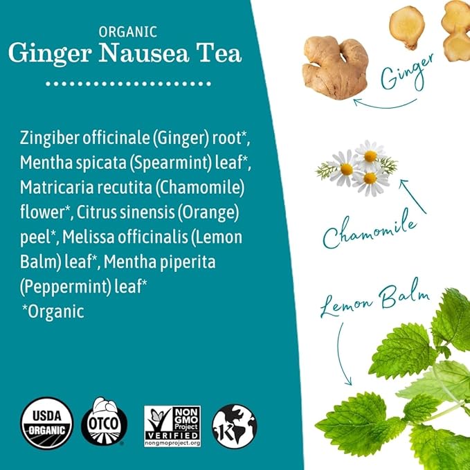 Earth Mama Organic Ginger Nausea™ Tea | Comforts Occasional Nausea + Morning Sickness, 16 Teabags Per Box (6-Pack)