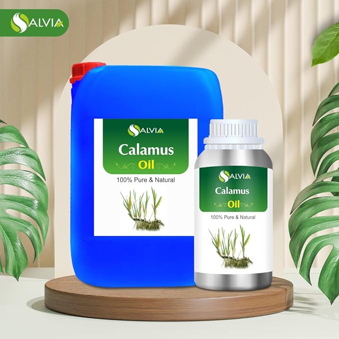 Calamus Oil (Acorus Calamus) Therapeutic Essential Oil by Salvia 100% Natural Uncut Undiluted Pure Cold Pressed Aromatherapy Premium Oil - 500ML/ 16.9fl oz