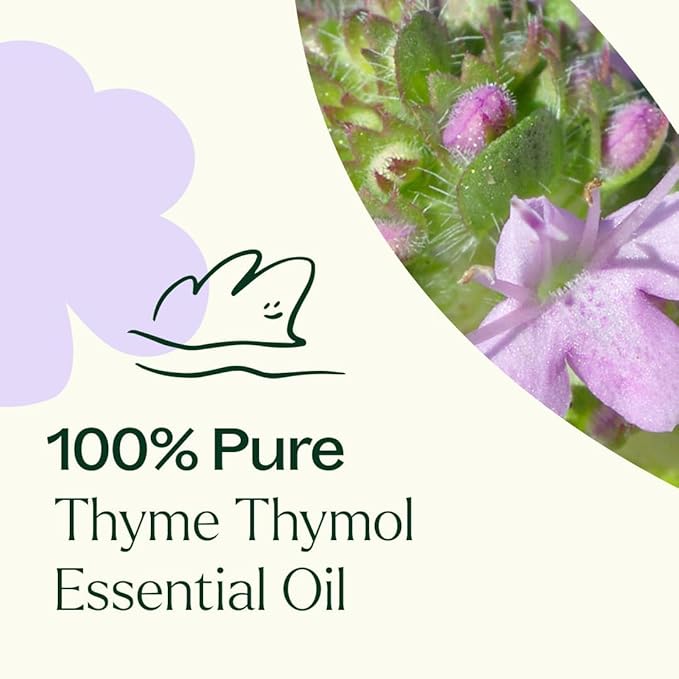 Plant Therapy Thyme Essential Oil (Thymol) 100% Pure, Undiluted Thyme Oil, Natural Aromatherapy, Therapeutic Grade 30 mL (1 oz)