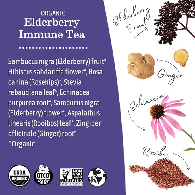 Earth Mama Organic Elderberry Immune Support Tea with Echinacea | Safe for Pregnancy, Breastfeeding, Postpartum, Kids and Family Essentials, Decaf Tea with Ginger & Rooibos (16-Count, 2-PK)