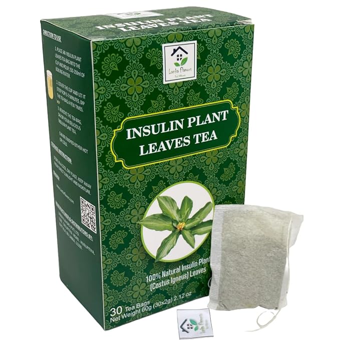 Dried Insulin Plant Leaves Tea 30 x 2g Tea Bags Natural Costus Igneus Herbal Tea - Lanka Flavors Feel Different