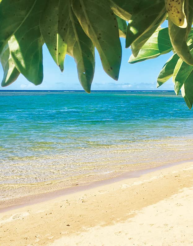 Island Soap and Candle Works Jasmine Scented Body Lotion for Men and Women - Paraben Free Body Moisturizer - Hydrating Hawaiian Skincare - Pikake Jasmine - 8.5 Fl Oz. Bottle