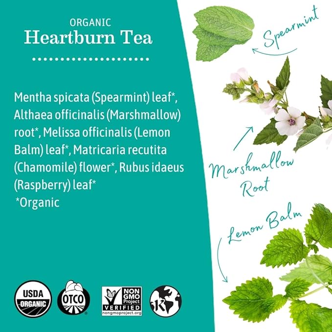Earth Mama Organic Heartburn Tea | Pregnancy-Safe Soothing Herbal Blend with Marshmallow Root, Lemon Balm & Chamomile, 16 Teabags Per Box (6-Pack)