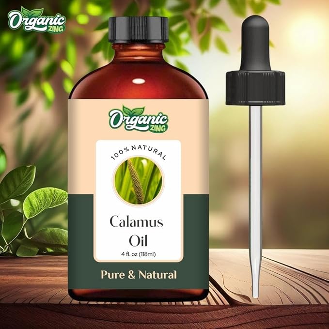 Calamus (Acorus Calamus) Oil | Pure & Natural Essential Oil for Skincare, Hair Care, Aroma & Diffusers - 118ml/3.99fl oz