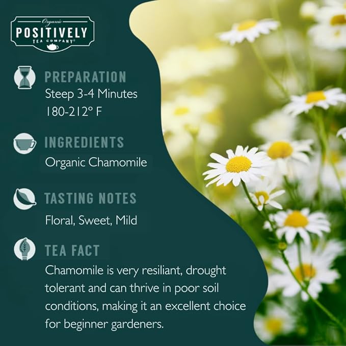 Organic Positively Tea Company, Chamomile, Herbal Tea, Loose Leaf, 16 Ounce