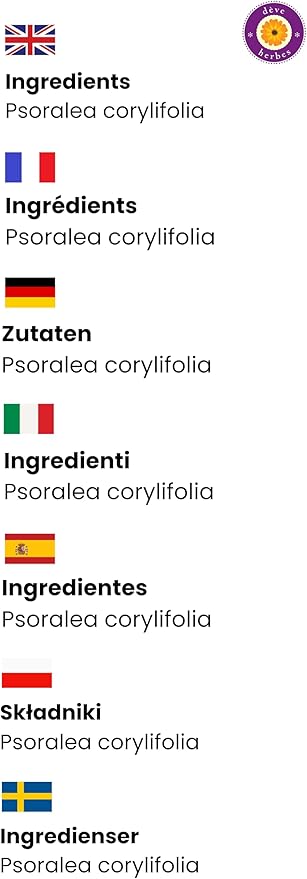 dève herbes Pure Babchi Oil (Psoralea corylifolia) with Glass Dropper Cold Pressed 100ml (3.38 oz)