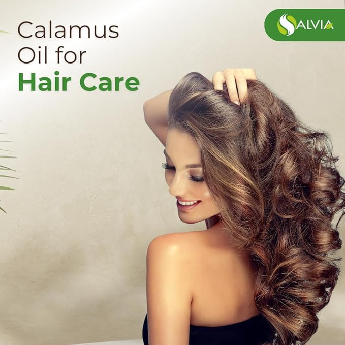 Calamus Oil (Acorus Calamus) Therapeutic Essential Oil by Salvia 100% Natural Uncut Undiluted Pure Cold Pressed Aromatherapy Premium Oil - 500ML/ 16.9fl oz