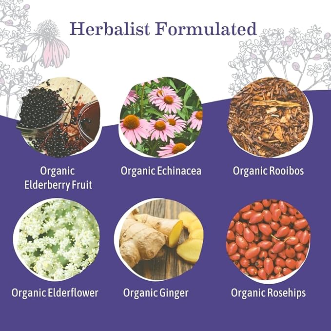 Earth Mama Organic Elderberry Immune Support Tea with Echinacea | Safe for Pregnancy, Breastfeeding, Postpartum, Kids and Family Essentials, Decaf Tea with Ginger & Rooibos (16-Count, 2-PK)