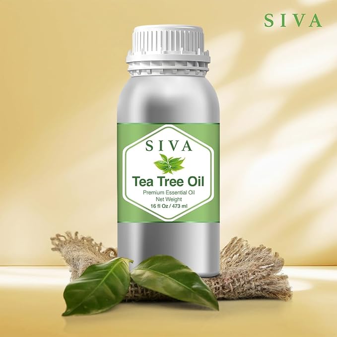 Siva Tea Tree Essential Oil - 16 Fl Oz – Natural Tea Tree Oil - for Diffuser, Face, Skin Care, Aromatherapy, Hair Care, Scalp and Body Massage