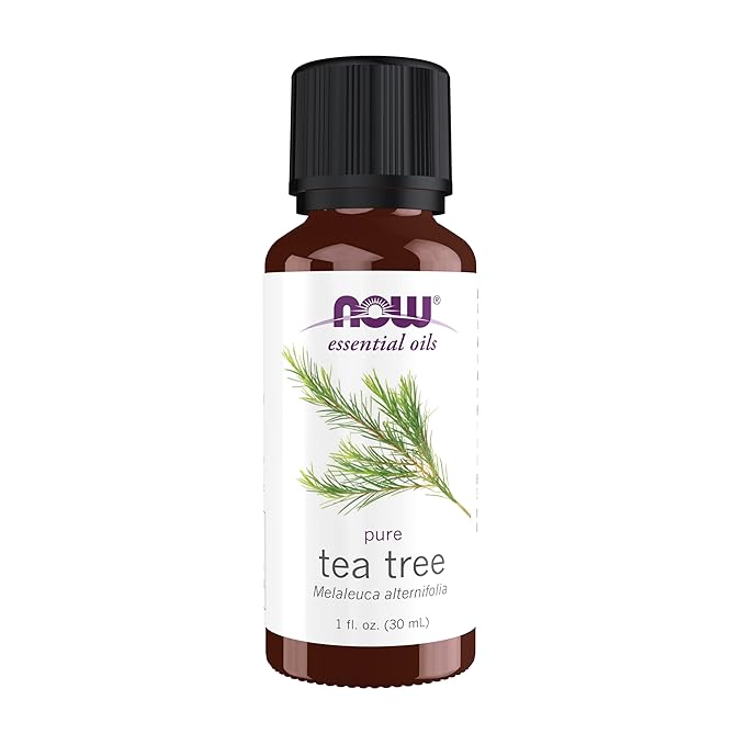 NOW Essential Oils, Tea Tree Oil, Cleansing Aromatherapy Scent, Steam Distilled, 100% Pure, Vegan, Child Resistant Cap, 1-Ounce