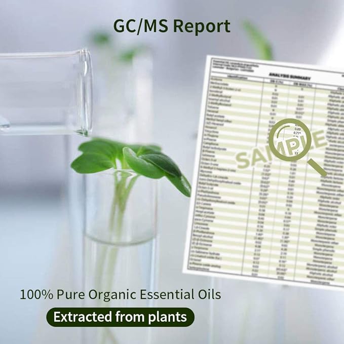 Sedbuwza Cinnamon Coffee Essential Oil Set, Cinnamon Fragrance Oil Coffee Scent Oil Set for Diffuser, Aromatherapy, Massage, Soap, Candle Making 2 x 10 ml