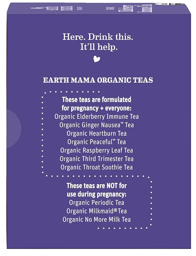 Earth Mama Organic Elderberry Immune Support Tea with Echinacea | Safe for Pregnancy, Breastfeeding, Postpartum, Kids and Family Essentials, Decaf Tea with Ginger & Rooibos (16-Count, 6-PK)