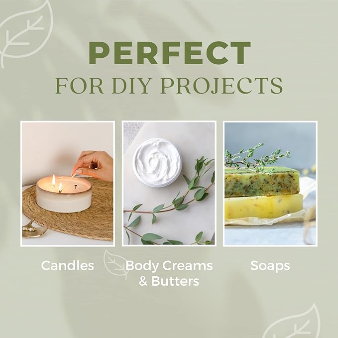 Organic Mint Essential Oil, Refreshes & Energizes The Spirit and Body, 100% Pure Natural Mint Oil for Diffuser, Aromatherapy, Hair Care, Skin Massage, Candle and Soap Making 1 Fl oz