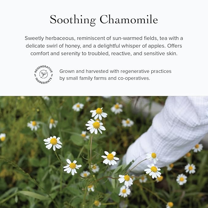 evanhealy Rosehip Calming Serum | Blue Skin Care Line with Organic Whole Essential Oils | Nurturing, Soothing Facial Oil Serum | Organic Facial Oil For Sensitive, Reactive Skin