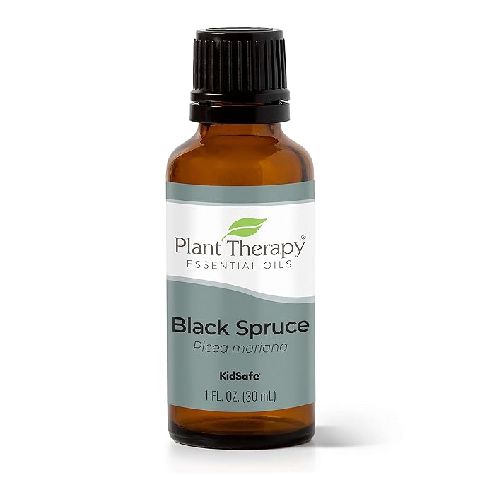 Plant Therapy Black Spruce Essential Oil 30 mL (1 oz) 100% Pure, Undiluted, Therapeutic Grade
