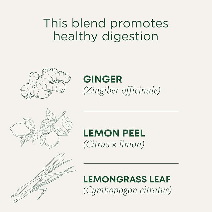 Traditional Medicinals Organic Lemon Ginger Tea, 1.13 Oz, 16 Count