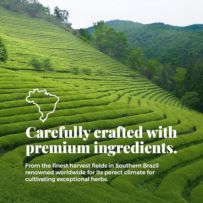 Life by Sublime - Cleanse USDA Organic Mint Green Tea & Yerba Mate, 20 Tea Bags, Naturally Caffeinated Detox Tea, Supports Digestive and Immune Health, Premium Brazilian Harvest