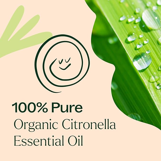 Plant Therapy Citronella Organic Essential Oil 100% Pure, USDA Certified Organic, Undiluted, Natural Aromatherapy, Therapeutic Grade 10 mL (1/3 oz)