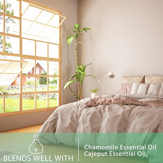 Camphor 3.38fl.oz Essential Oil, PHATOIL Aromatherapy Essential Oils for Diffuser, Humidifier, Perfect for DIY Soap, Candle, Bath Bombs Making(100ml)