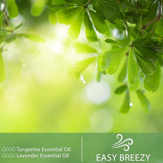 Tangerine 1.01fl.oz Essential Oil, PHATOIL Pure Aromatherapy Oils for Diffuser, Humidifier, Perfect for DIY Soap, Candle, Bath Bombs Making(30ml)