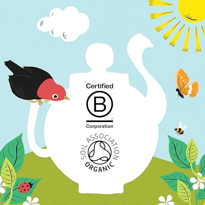 Clipper Tea, Orange & Turmeric, Organic Tea with Licorice Root, Orange Peel and Hibiscus, Plant Based Herbal Tea, Caffeine Free British Tea, 1 Pack, 20 Unbleached Tea Bags