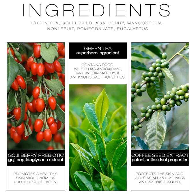 BIBA DE SOUSA The Zinc Mask with Goji Berry Prebiotic - Gentle Pore Purifying Facial Mask - For all Skin Types & Tones - Microbiome Support - Superfruit Blend (2oz)