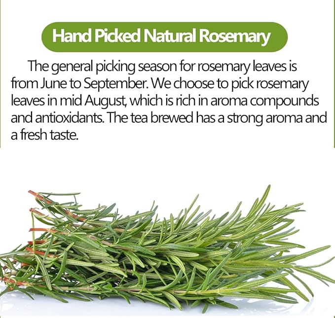 Premium Rosemary Tea Bags, 100 Teabags. Made with 100% Pure Natural Rosemary Leaves,No Additives & Caffeine Free.
