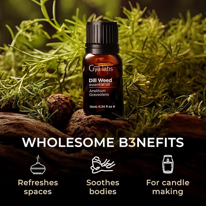 Gya Labs Dill Essential Oil for Diffuser & Candle Making Scent - 0.34 Fl Oz - 100% Pure Natural Dill Oil for Massages, Skin, Aromatherapy DIY & Candle Making - Spicy Earthy & Sweet Scent