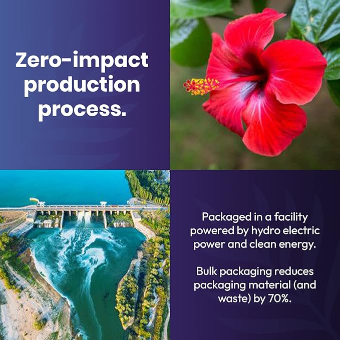 Organic Hibiscus Tea -100 Tea Bags | Organic Herbal Tea From Single Origin | Eco-Friendly Tea Bags | Non-GMO Caffeine Free Tea With Zero Sugar | Cederberg Tea Company