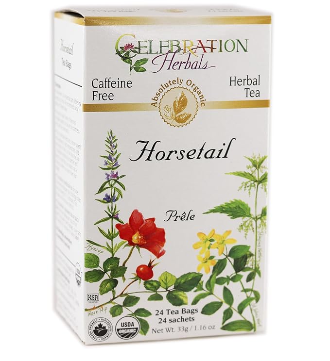 CELEBRATION HERBALS Horsetail Tea Organic 24 Bag, 1.16 0z