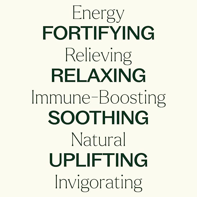 Plant Therapy Top 6 Essential Oil Blends Set 100% Pure, Undiluted, Natural Aromatherapy, Therapeutic Grade 10 mL