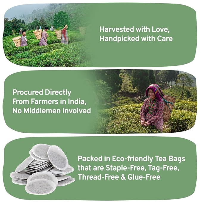 HANDPICK, Organic Green Tea Bags - 100 Eco-Friendly Tea Bags | USDA Organic | Resealable Pack for Freshness | Delicate & Flavory | Direct From India