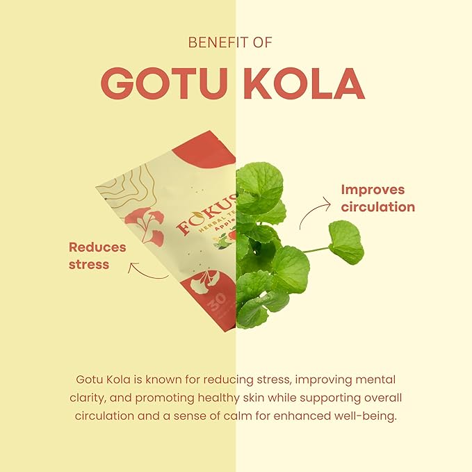 Fokus – Apple Focus & Memory Tea – Organic Brain-Boosting Herbal Blend with Ginkgo Biloba, Gotu Kola, Reishi & Ashwagandha – Crisp Apple Flavor – Caffeine-Free Tea for Mental Clarity, Concentration & Calm Energy – 30 Sachets