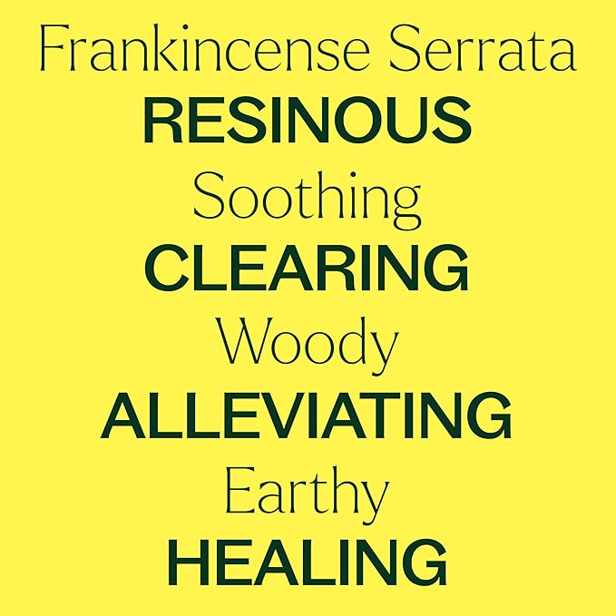 Plant Therapy Organic Frankincense Serrata Essential Oil 100% Pure, USDA Certified Organic, Undiluted, Natural Aromatherapy, Therapeutic Grade 10 mL (1/3 oz)