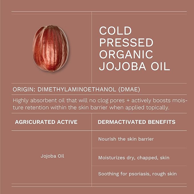 Antioxidant Moisturizing Night Cream with Organic Jojoba and Aloe Vera to Soothe, Brighten, Hydrate (1.75 oz/50 ml)