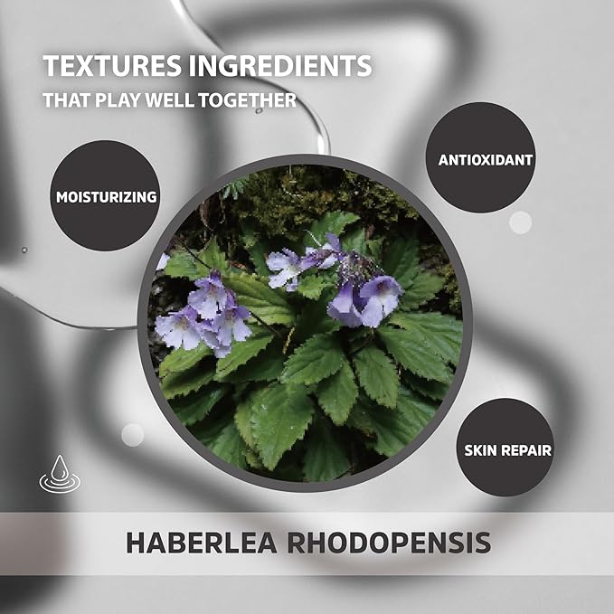 Haberlea Oil – Natural Anti-Aging Moisturizer for Dry Skin, Fine Lines & Wrinkles, Lightweight Face Oil for Hair & Body – All Skin Types – Made in Taiwan – 25ml / 0.85 fl oz