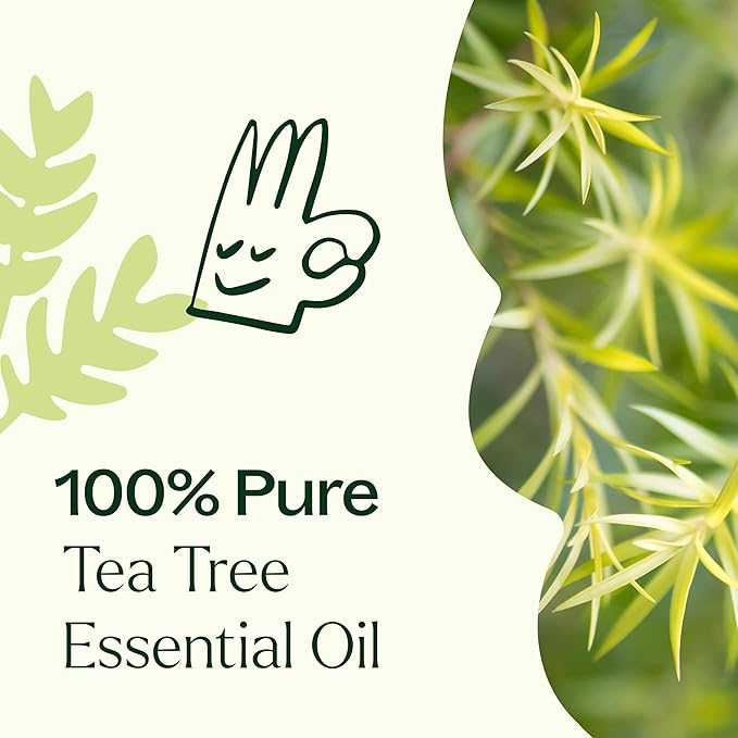 Plant Therapy Tea Tree Essential Oil 100% Pure, Undiluted, Natural Aromatherapy, Therapeutic Grade 10 mL (1/3 oz)