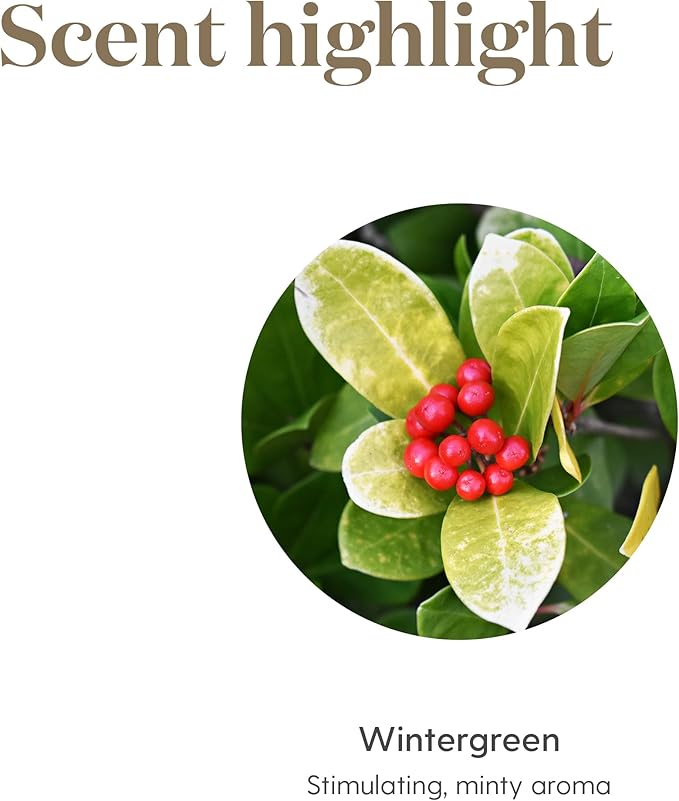 Young Living - Wintergreen Essential Oil 15 ml | Soothing Massage to Cool Fatigued Muscles | Cooling Sensation | Minty Aroma When Diffused or Inhaled | Child-Friendly Scent