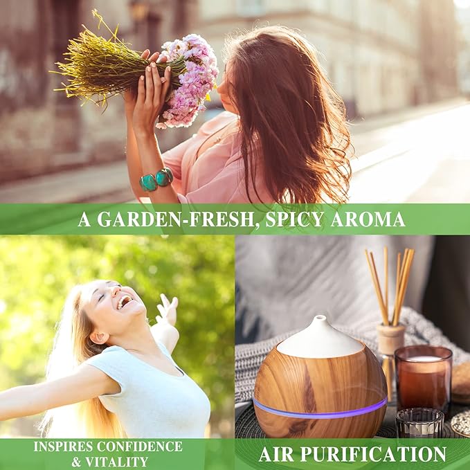 Basil Essential Oil 100ml, MAYJAM Premium Essential Oils for Aromatherapy, Diffuser, Soap Making, Candle Making, Large Bottle Basil Oil with Gift Box(3.38fl.oz)