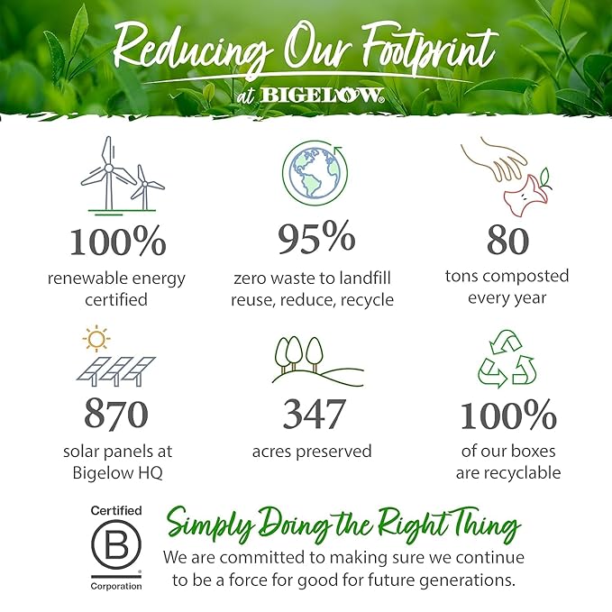 Bigelow Tea Cozy Chamomile Herbal Tea, Caffeine Free Tea with Chamomile Flowers, 20 Count Box (Pack of 6), 120 Total Tea Bags