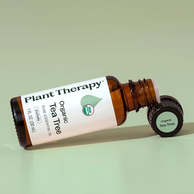 Plant Therapy Organic Tea Tree Oil (Melaleuca) 100% Pure, USDA Certified Organic, Undiluted, Natural Aromatherapy, Therapeutic Grade 30 mL (1 oz)