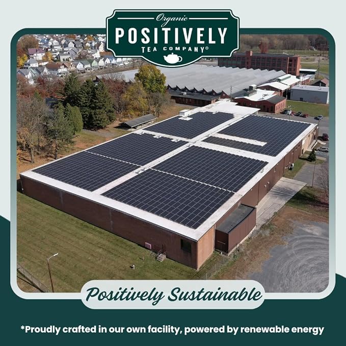 Organic Positively Tea Company, Spearmint Leaf Herbal Tea Bags, 100 Count, Eco-Friendly Tea Bags, Non-GMO