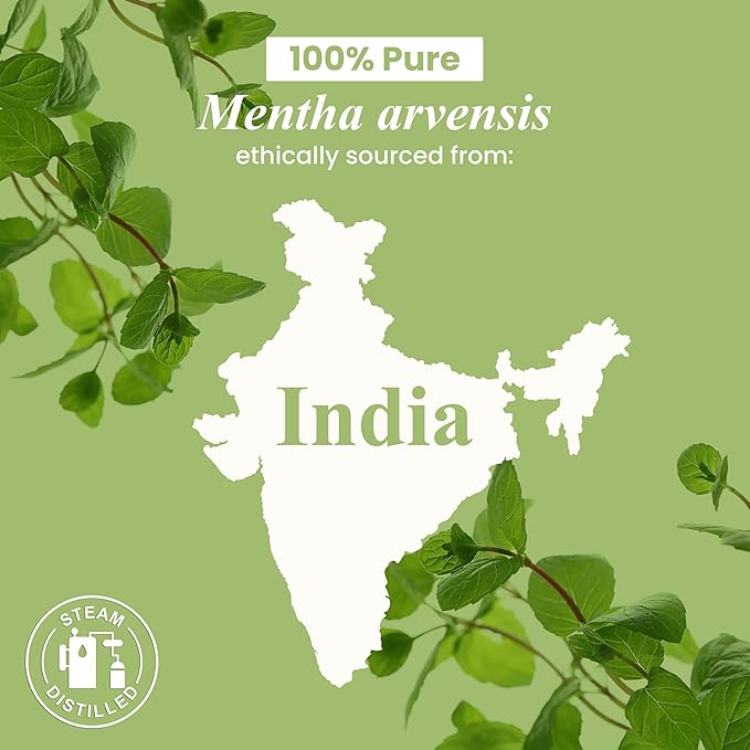 Handcraft Blends Peppermint Essential Oil - 1 Fl Oz - 100% Pure and Natural - Premium Grade Essential Oil for Diffuser and Aromatherapy