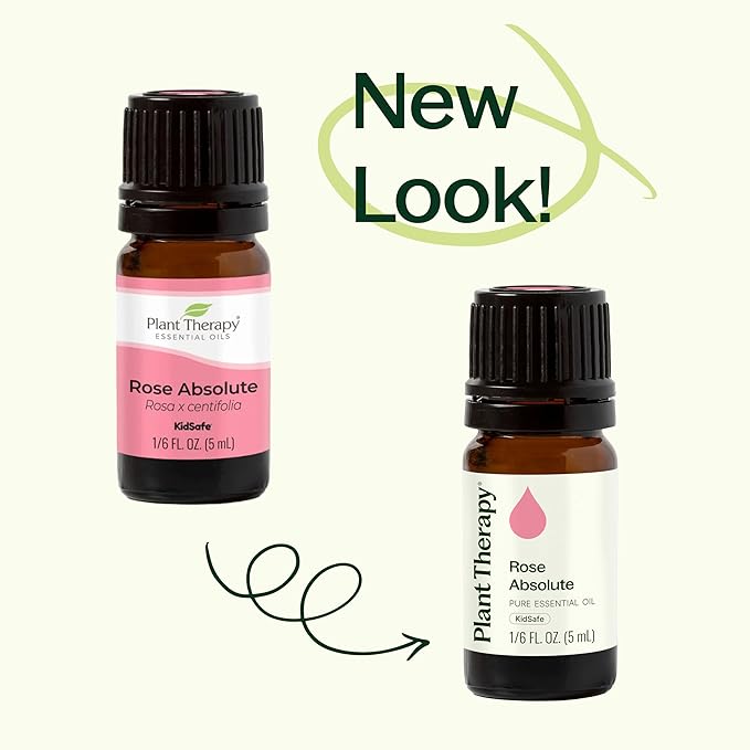 Plant Therapy Rose Absolute Essential Oil 100% Pure, Undiluted, Natural Aromatherapy, Therapeutic Grade 5 mL (1/6 oz)