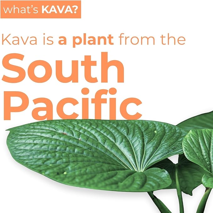 LEILO | Kava Powered Sparkling Relaxation Drink | Tangerine Mango 12-Pack – Non-ALC Calming Beverage | 12 fl oz Cans (Pack of 12) | Packaging May Vary