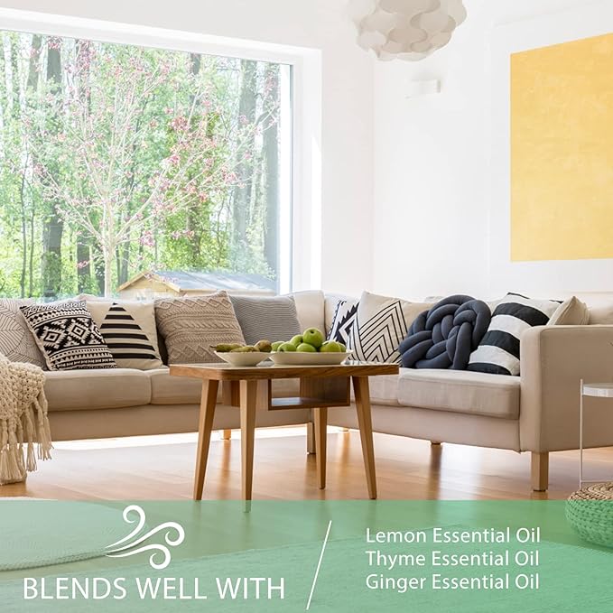 Camphor 3.38fl.oz Essential Oil, PHATOIL Aromatherapy Essential Oils for Diffuser, Humidifier, Perfect for DIY Soap, Candle, Bath Bombs Making(100ml)