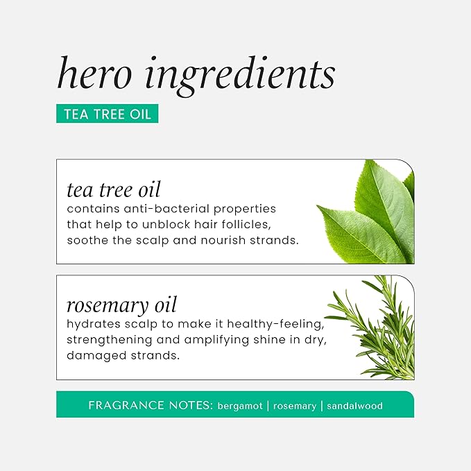 HASK TEA TREE OIL & ROSEMARY Scalp Relief Serum for All Hair Types, Color Safe, Gluten-Free, Sulfate-Free, Paraben-Free, Cruelty-Free - Pack of 2